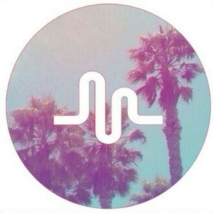 Meet your Posher, Zoey